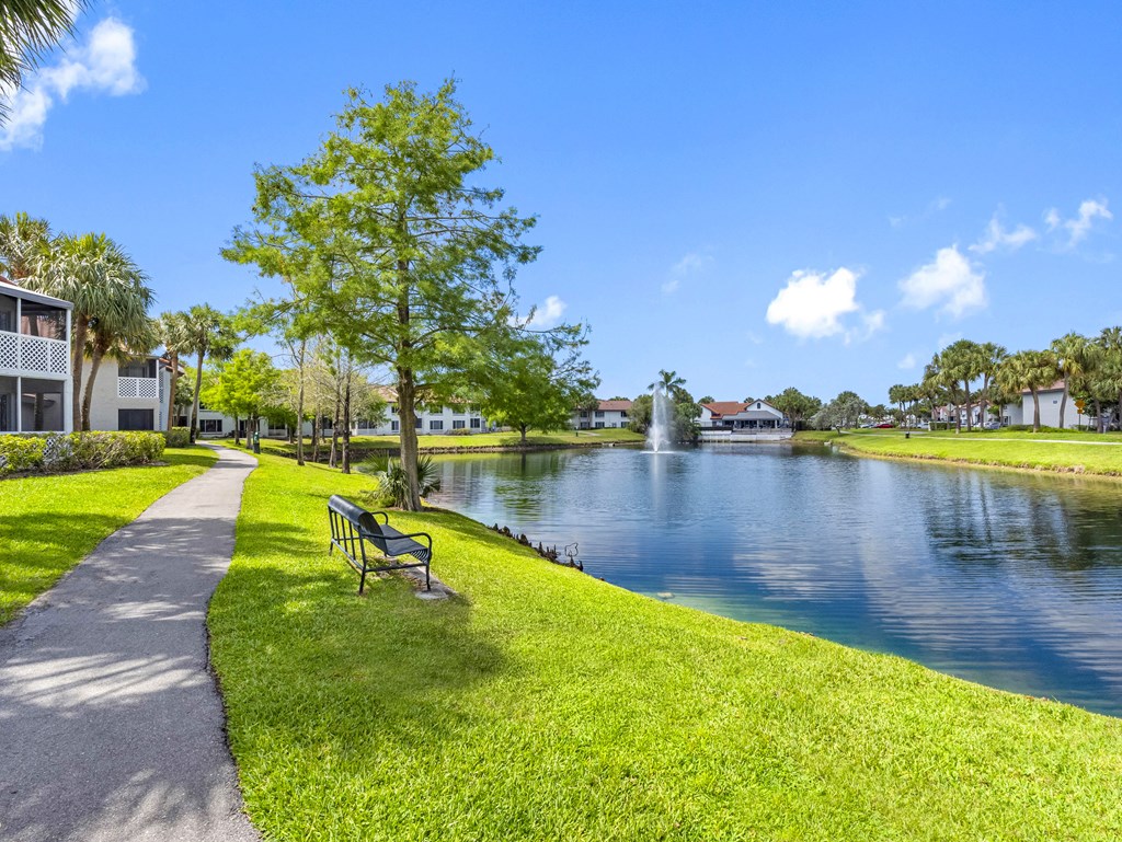 A park with a bench and a pond.